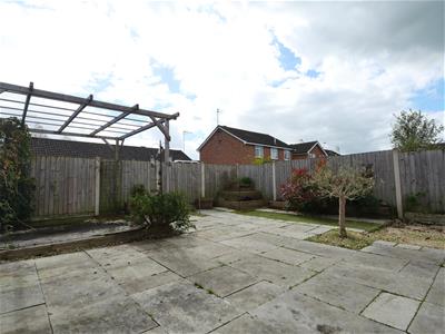 Picture 13